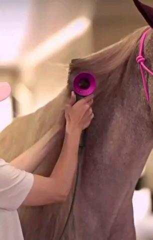 nataliya_skopich в LOOKY. . О Dyson мечтает даже...