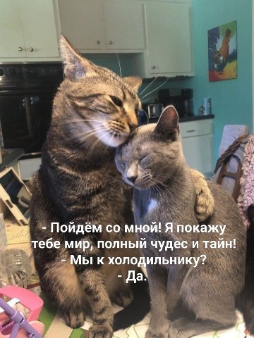 Sekret_Natali в LOOKY. . 10 августа 2026 г. Н...