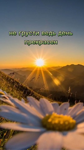 sveta88grishina в LOOKY. . Добрый день, страна!