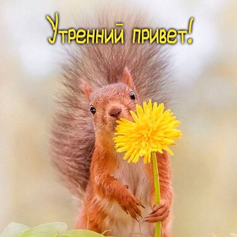 Looky_1674730650448 в LOOKY. . 