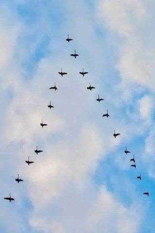 ИринаЯ в LOOKY. . А вы знали почему пт...