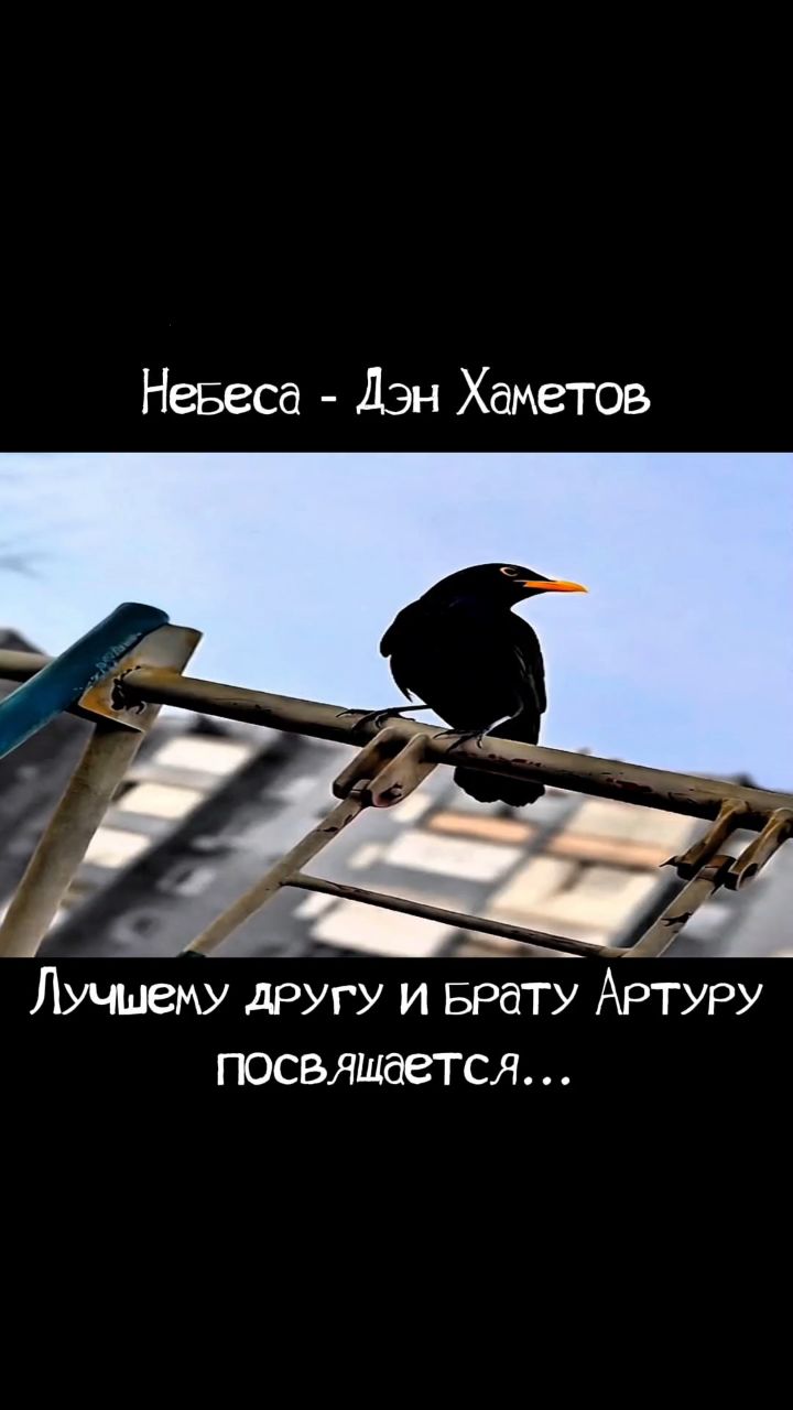 prostohametov в LOOKY. #брат,#лучшийдруг,#друзьядетства,#братья,#лучшиедрузья,#вместевсегда,#погиббрат,#другбездруга,#братбезбрата,#единственныйдруг. Лучшему другу и брат...