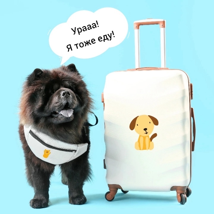 dt_omsk в LOOKY — Ищете отель в Турции, где можно остановиться со своим питомц