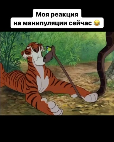 Космический Лис Алексей в LOOKY — публикация