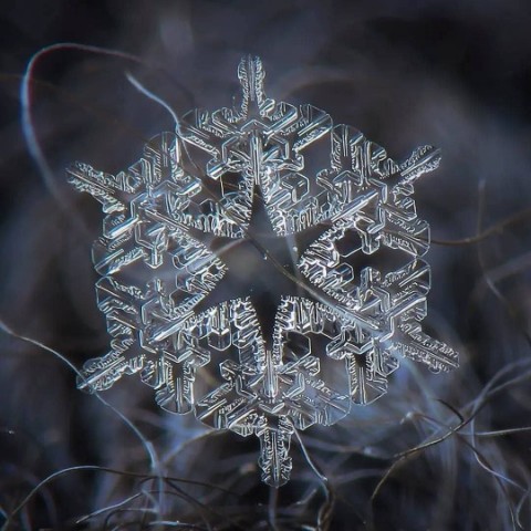 Александр в LOOKY. #снег. ❄️ Магия снежинок ❄️...