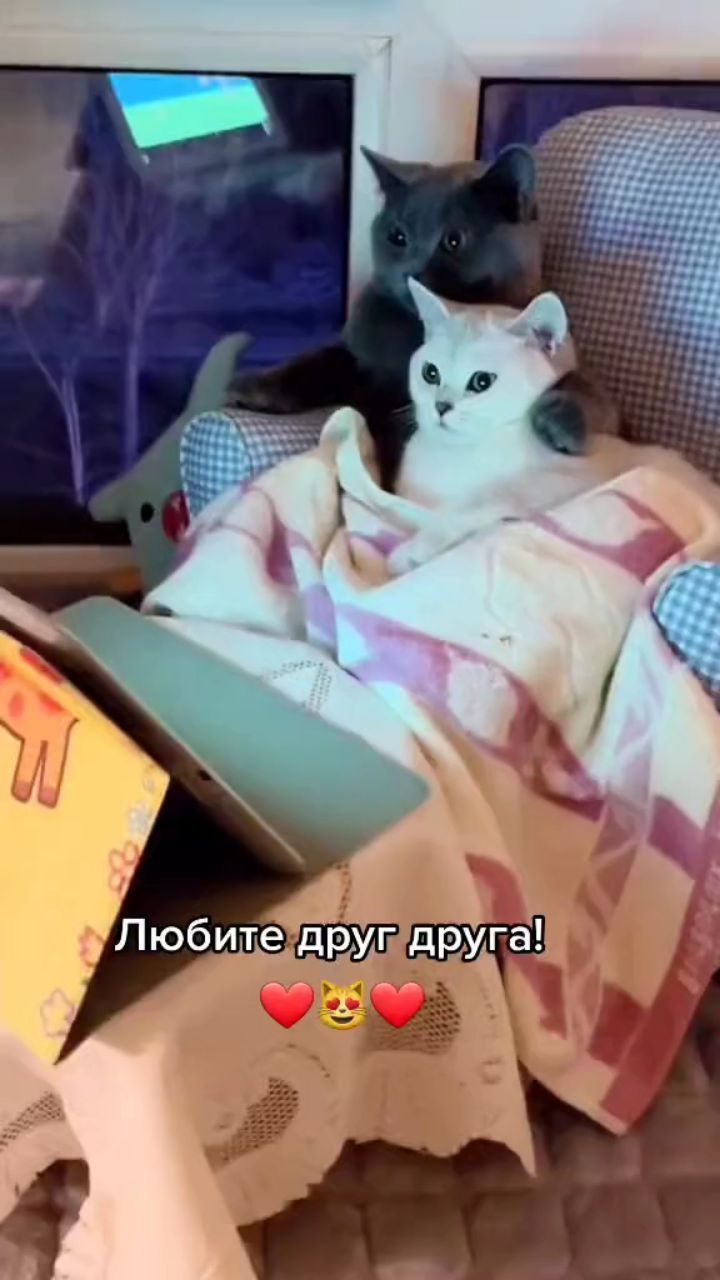 Александр в LOOKY — публикация