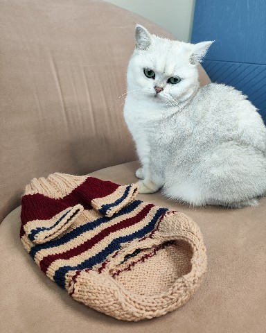 knittoy_made в LOOKY. #вязание,#вязаниеназаказ,#вязаниекраснодар. Шикарная пижама для ...
