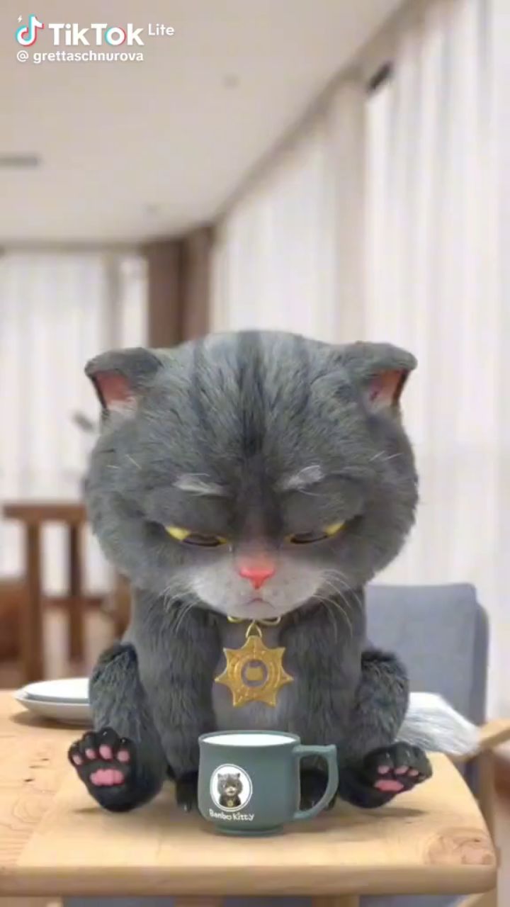Looky_177496200127865 в LOOKY. . 