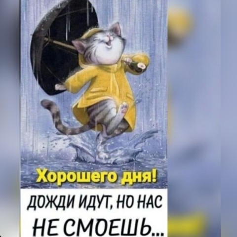 vik_toriyafl в LOOKY. . Хорошего дня!) 🥰🥰�...