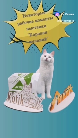 margarita__vasina в LOOKY. . Выставка кошек 30.09...