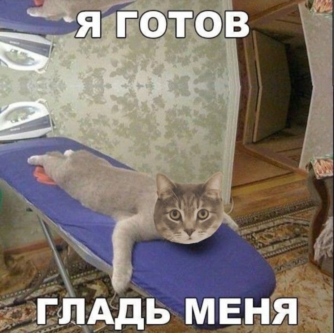 в LOOKY — публикация