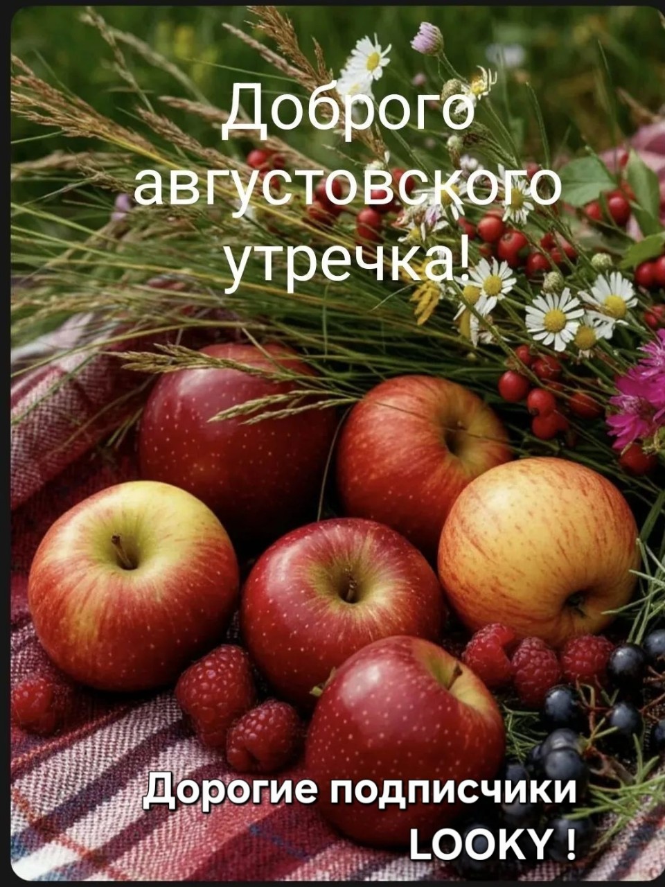 ДедМед в LOOKY — публикация
