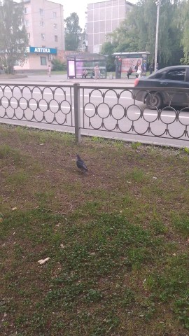 nsttkkaaa в LOOKY. . Когда я снимала рилс...