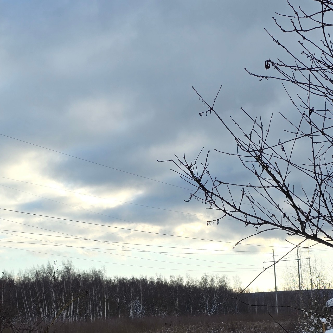 Зима в этом году решила не скромничать! 🌬️ Начиналось всё с легкого припороха, а теперь — настоящие сугробы выше забора. Прямо декорации к зимней сказке. Как думаете, это теперь до марта или ждать оттепели? ☕️🏠
#зима #снег #зимняясказка #загородом #домвснегу #SamsungS24Ultra #S24Ultra #mobilephotography #снятонасамсунг