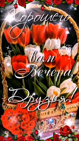 Looky_173278116171457 в LOOKY. . 