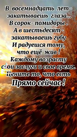 Looky_172475273552881 в LOOKY. . 