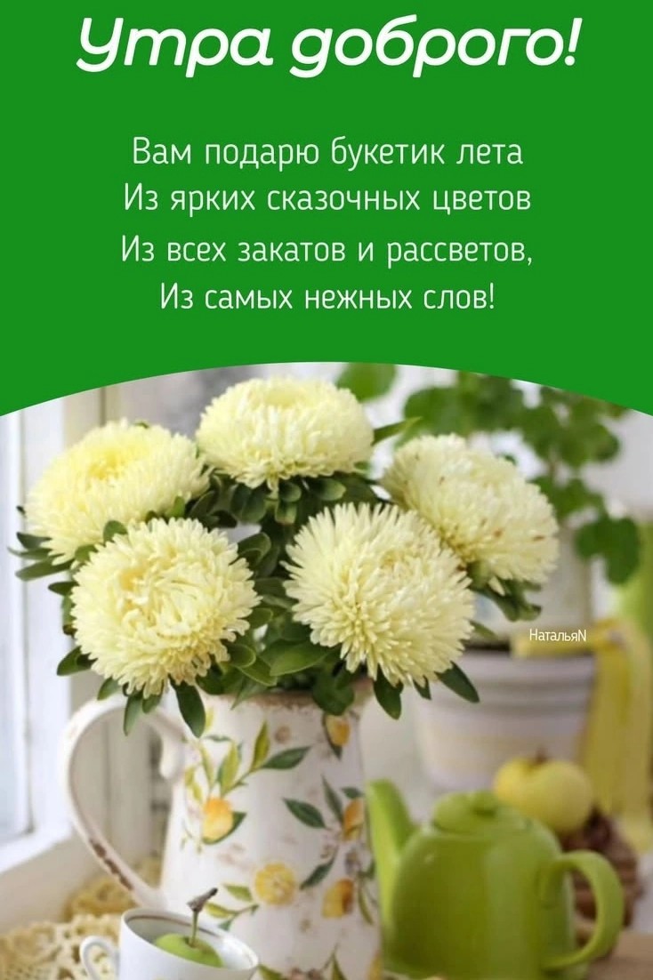 Сириус в LOOKY — публикация