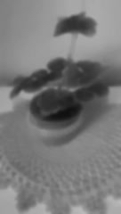 Looky_172361877527263 в LOOKY. #пеларгония. Ох уж эти пеларгонии...