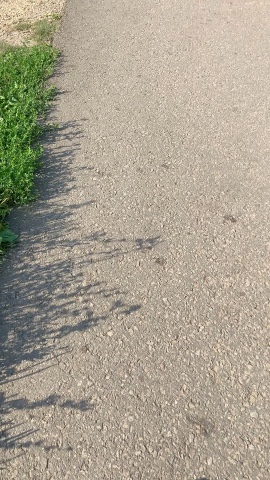 Катерина в LOOKY. . Доброе утро, прекрас...