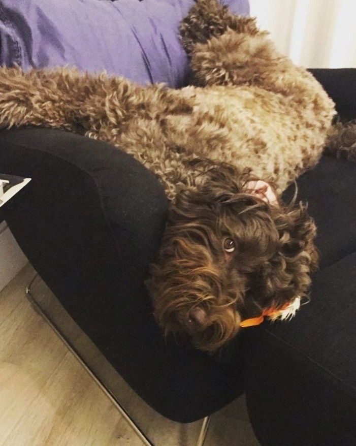 [#goodmorning](goodmorning) #fashion

#art

#photography

#happy

#instagram

#cute

#tbt

#travel

#repost

#instadaily

#me

#food

#fun

#smile

#photo

#life

#makeup

#follow4follow

#dog