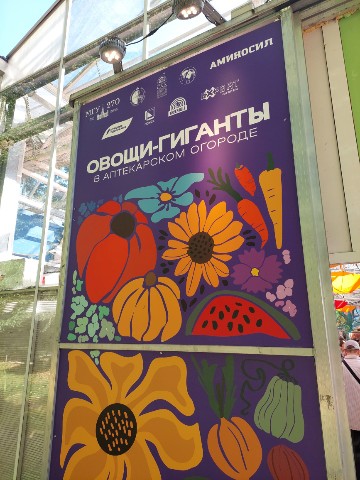 korolevamarina335 в LOOKY. #москва,#аптекарский_огород,#выставка_гигантских_овощей,#тыквы,#арт_объекты,#овощи,#рекорд,#регионы,#сорта. Выставка гигантских ...