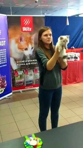 tinorika17 в LOOKY. #лэмбкин. Это единственная пор...