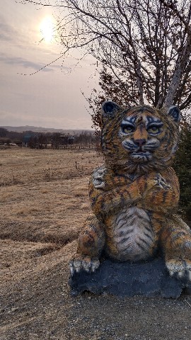 Denis25 в LOOKY. . Изумрудная долина......