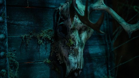 d4rk_r4bbit в LOOKY. #d4rk_r4bbit,#2023,#dark,#grim. ...



[#photo](phot...
