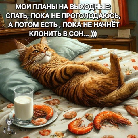 Натусик в LOOKY. . 