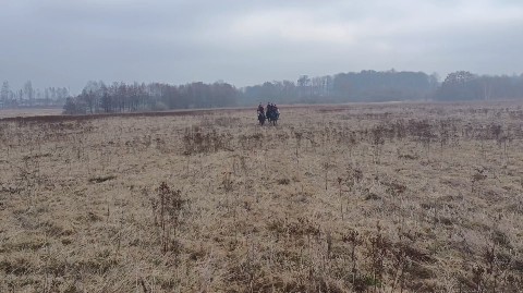 Роман в LOOKY. . Полевая тренировка🐎...