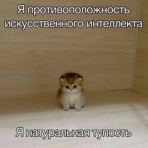 Хи-хи Ха-ха в LOOKY. #глаза,#красота,#юмор,#шутки. Не грусти, зато глаз...