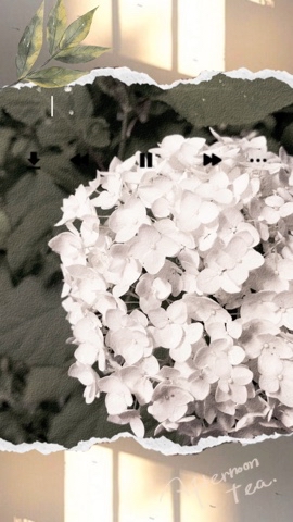 Looky_1706380978482 в LOOKY. . 