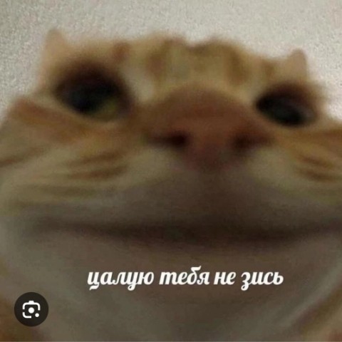 Roman_Levashov в LOOKY. . аватарка
