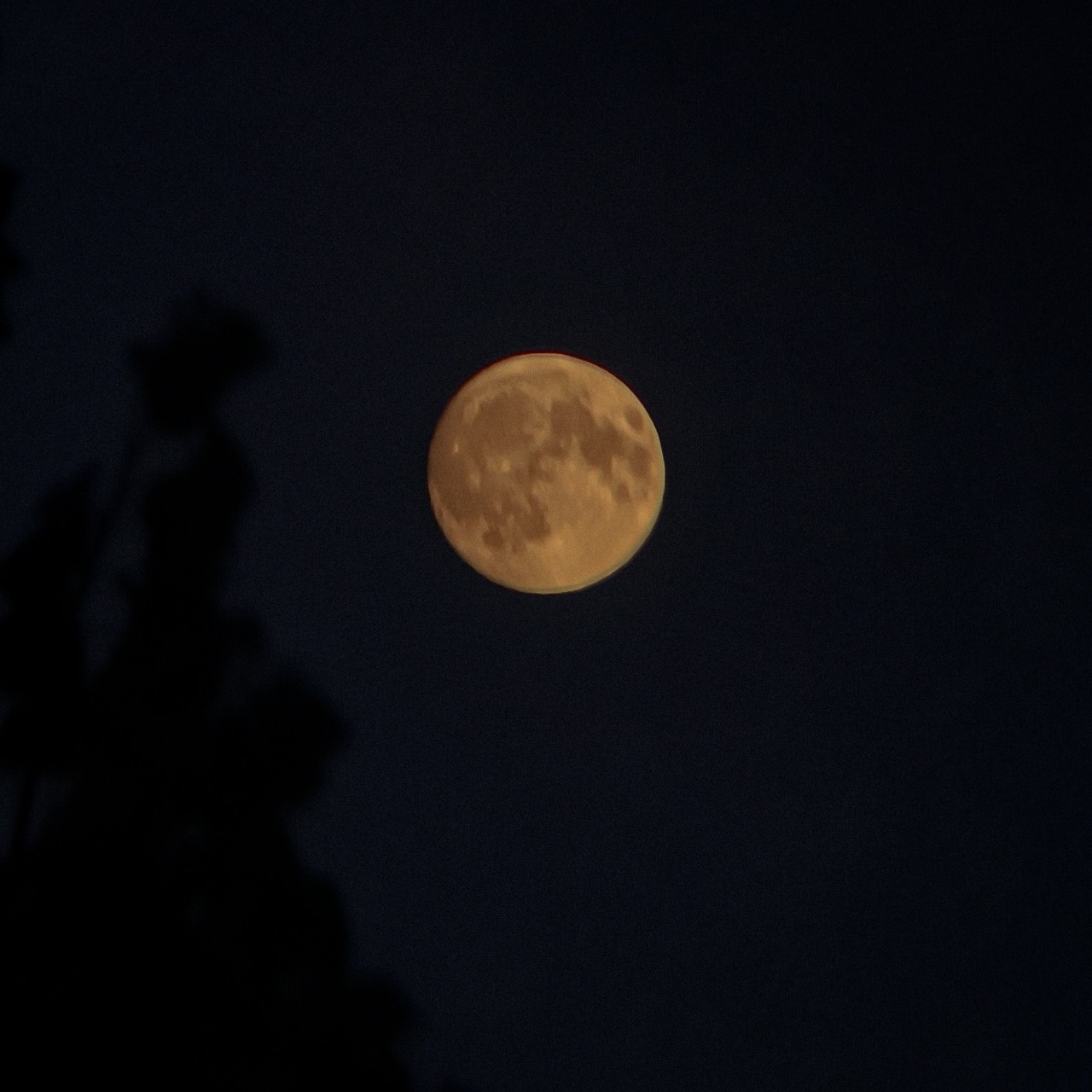 Смотрю на Луну и ловлю себя на мысли: как же в ней много тайн...🌕

  Она всегда рядом, но никогда не подпускает близко. Мы знаем о ней почти всё - кратеры,расстояние,  но стоит поднять голову в ясную ночь, и она снова кажется незнакомкой. Этот холодный свет, эти тени, это молчание… Будто она хранит какой-то секрет, который доверит лишь самому внимательному наблюдателю.

  Наверное, поэтому так сложно отвести взгляд. В ней есть что-то родное и одновременно недосягаемое. Как давняя мечта, до которой рукой подать, но которая всегда остается на небе.

А вы часто засматриваетесь на неё? Или я одна такая «лунатик»? 😉

#луна #ночь #мысливслух #загадка #эстетика
