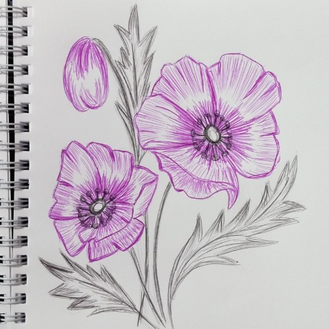 Галина в LOOKY. #рисунокручками,#цветы,#ярисую,#творчество,#хобби,#художник,#самоучка,#рисуюкакмогу. #рисунокручками #цве...
