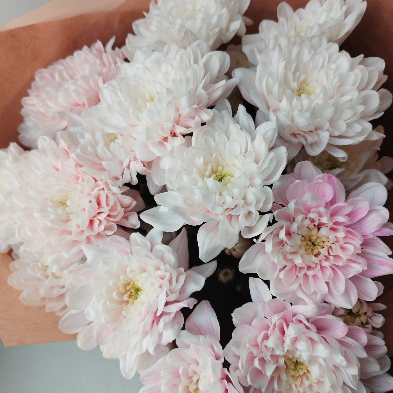 #14февраля

Прекрасный букет от возлюбленного 🥰
