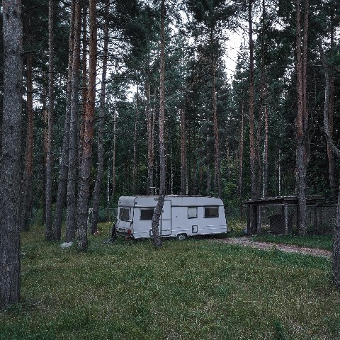 1stMOD в LOOKY. #мобилография,#мобильнаяфотография,#фотонасмартфон,#фотообработка,#интересноефото,#1stMOD,#lightroom,#фотонателефон,#тамбов,#знаменка,#былостало,#сталобыло,#допосле,#ракурс,#фото,#photo,#фотография,#фотограф,#фотопейзажа,#природароссии,#лес. Снято на: Realme GT ...