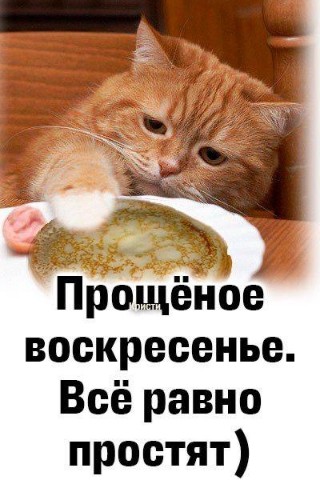 Looky_172340632299820 в LOOKY. . 