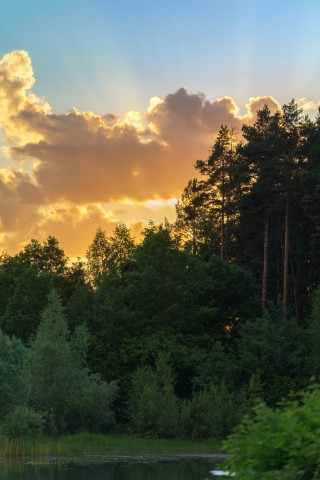 poboruev_landscape в LOOKY. #природа,#закат,#рассвет,#утро,#вечер,#небо,#облака,#лес,#лучи,#фотоприроды,#природноефото,#мещерский,#Подмосковье. Очередной закат в Ме...