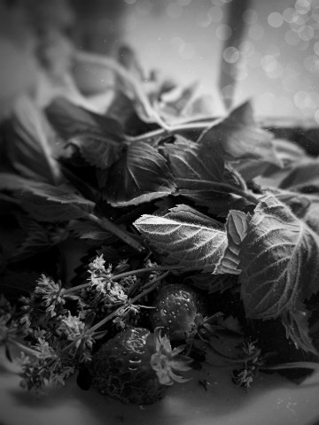 nata_sha 1909 в LOOKY. . Мята, чабрец и клубн...