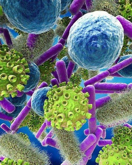 Дмитрий in LOOKY. . 