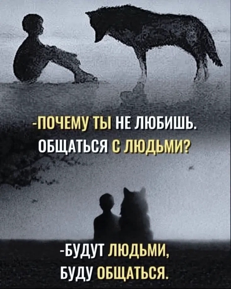 Looky_178759550443281