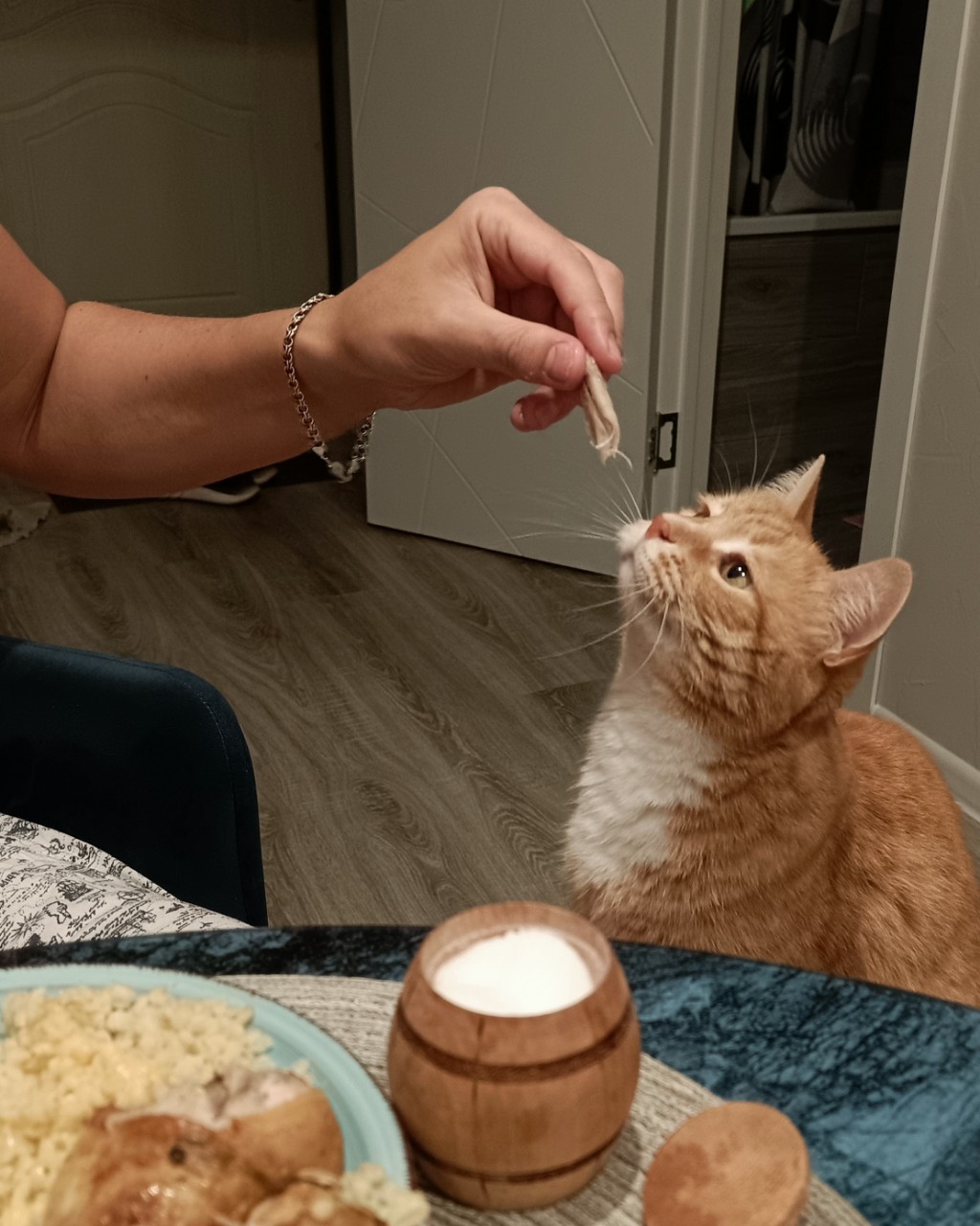 Привет, друзья! 

Давно не появлялся, каюсь, котаны. 
Мои были на море, хотели снять контент, но телефон в руки не "шел", хотелось отдохнуть и насладиться морем и тишиной. Мои они такие. 
А вот я другой! Я экстраверт от хвоста и до ушей! Что вы, собственно, можете наблюдать на фото.