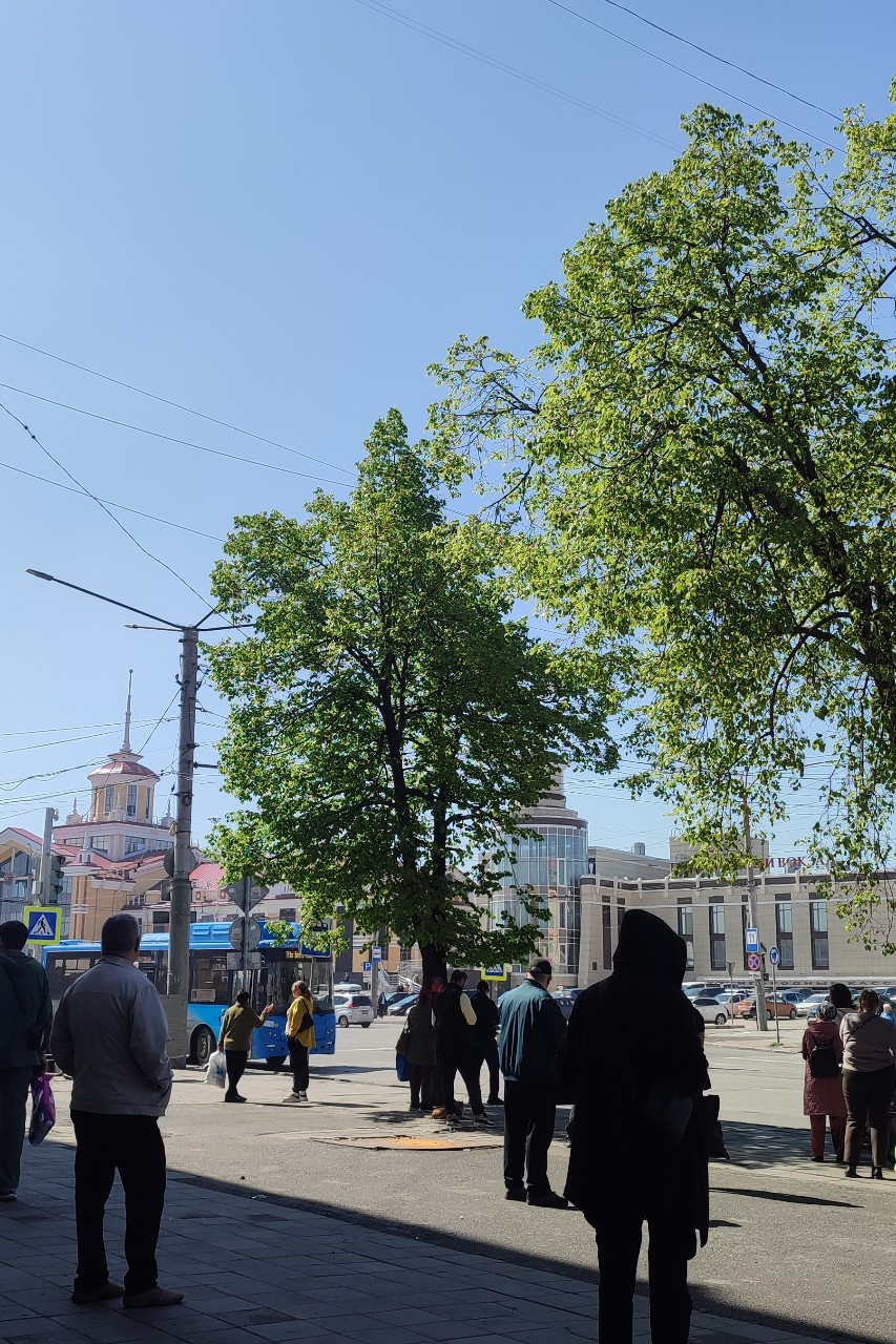Татьяна Сухарева в LOOKY — Не ужели солнце в Кузбассе ☀️ погода на эту неделю обещает б