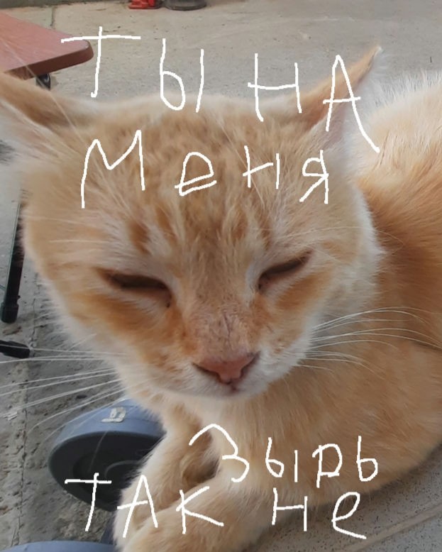 Pasha_300k в LOOKY — Ты на меня так не зырь