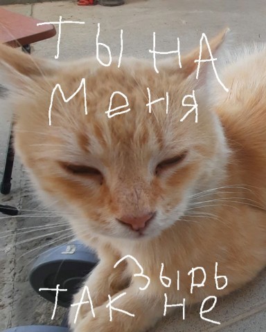 Pasha_300k в LOOKY. . Ты на меня так не зы...