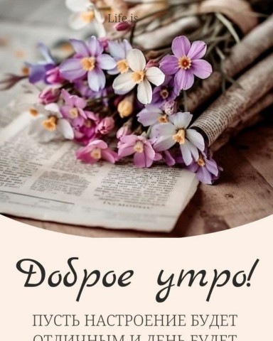 lenok.dor в LOOKY. . 