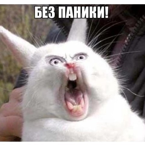 nailone.artista в LOOKY. . 