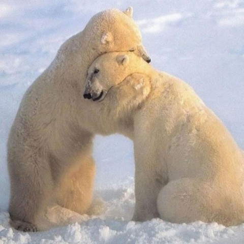 thesamevitya12342 в LOOKY. #2024год. #2024год