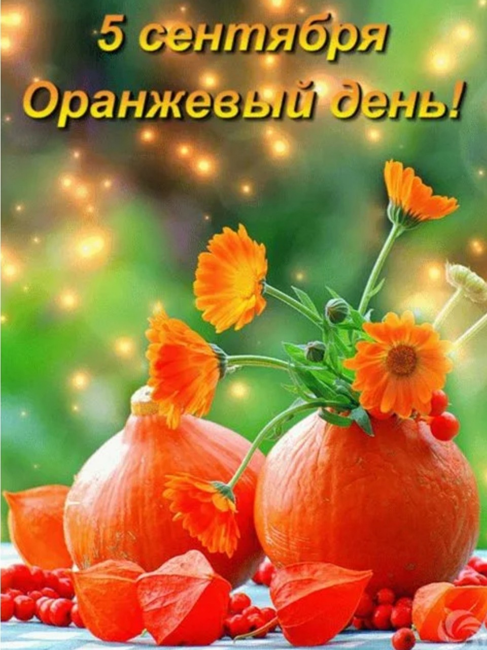  в LOOKY — публикация
